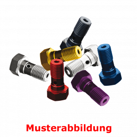 TRW Doppelhohlschraube einzeln chrom MCH941C