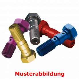 TRW Doppelhohlschraube einzeln blau MCH951B