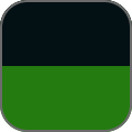schwarz / grün