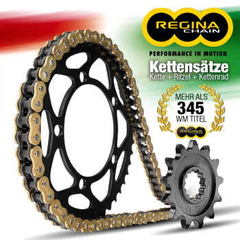REGINA Kit KTM 390 RC Bj. 22-