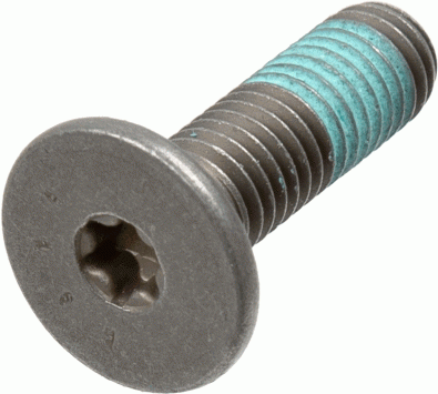 TRW mounting screws MSS116-5