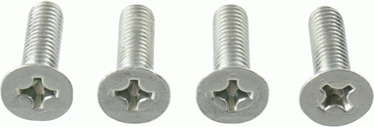 TRW mounting screws MSS112-4